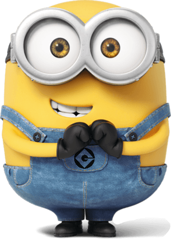 Minion beginner