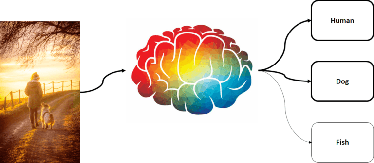 Multi-label classification in machine learning